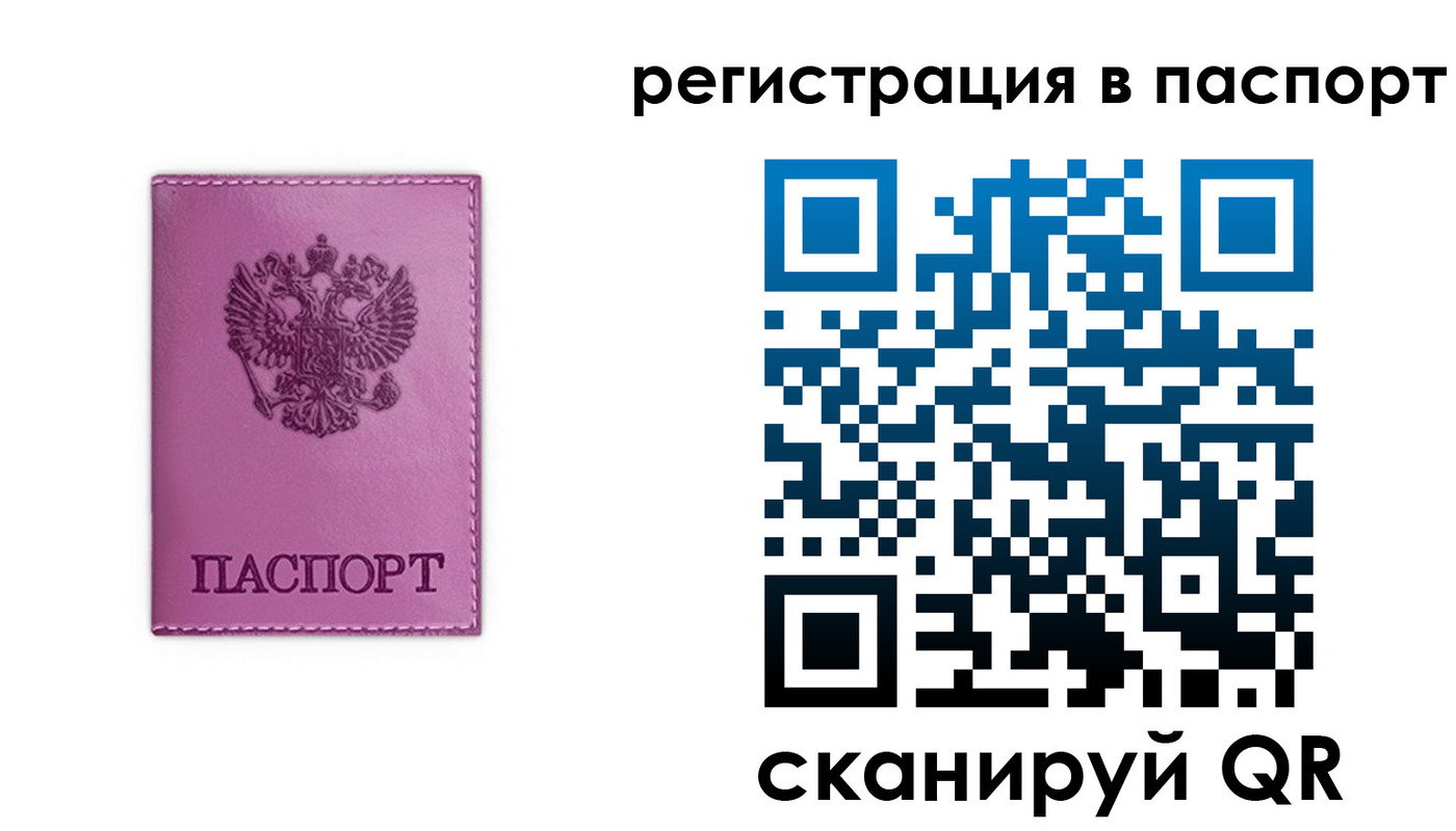 прописка 2025 в Краснознаменске
